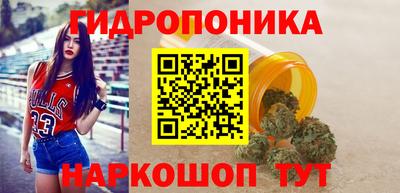 мдпв Гусь-Хрустальный
