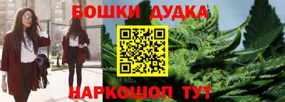 мдпв Гусь-Хрустальный